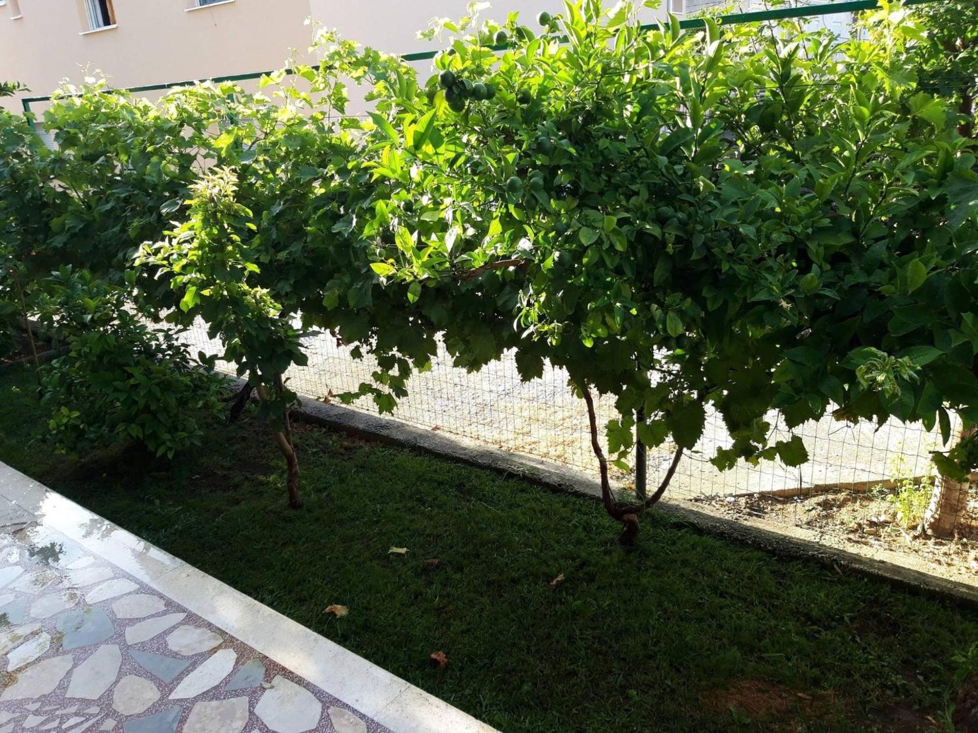 Apartments Nova Kaštela Стая снимка